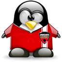 Penguin pingouin pinguino 698